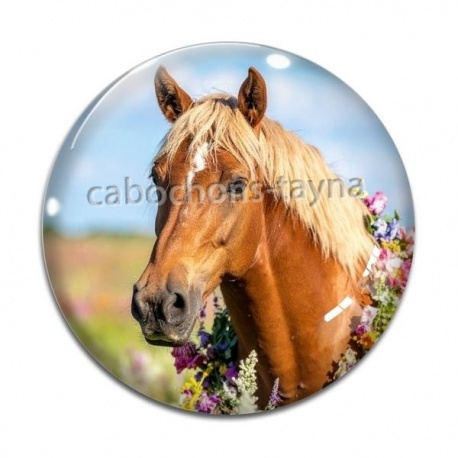 Cabochon Verre - cheval