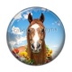 Cabochon Résine - cheval