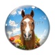 Cabochon Verre - cheval