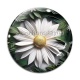 Cabochon Verre - fleur