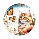 chat