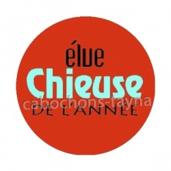 élue chieuse de l'année