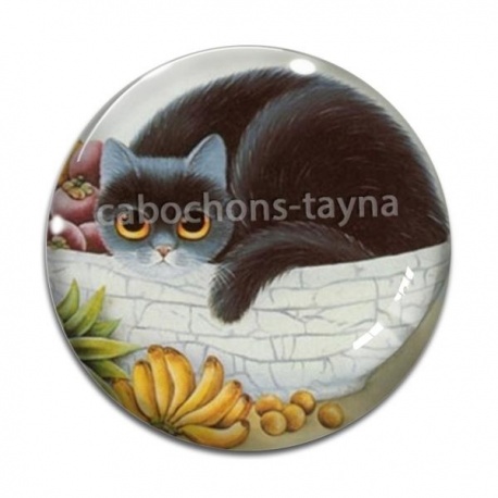 Cabochon Verre - chat