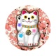 chat chinois
