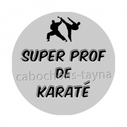super prof de karaté