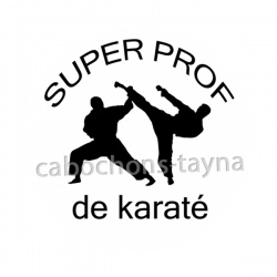 super prof de karaté