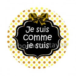 je suis comme je suis