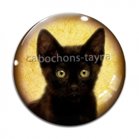 Cabochon Verre - chat