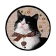 chat