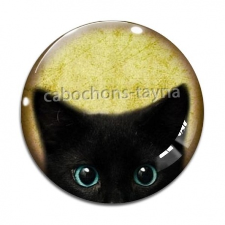 Cabochon Verre - chat