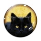 Cabochon Verre - chat