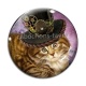 Cabochon Verre - chat