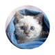 chaton