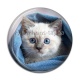 Cabochon Résine - chaton