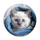 Cabochon Verre - chaton