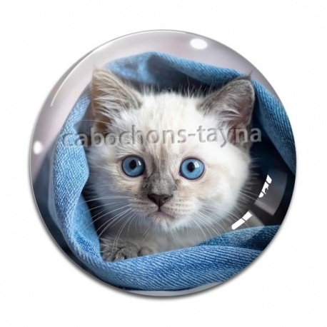 Cabochon Verre - chaton