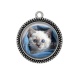 Pendentif Cabochon Argent - chaton