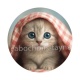 chaton
