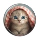 Cabochon Résine - chaton