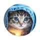 chaton