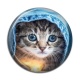 Cabochon Résine - chaton