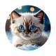 chaton