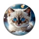 Cabochon Verre - chaton