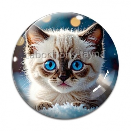 Cabochon Verre - chaton