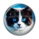 Cabochon Résine - chat noir et blanc