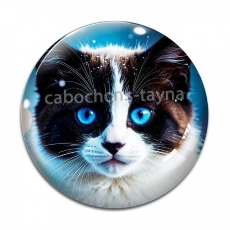 Cabochon Verre - chat noir et blanc