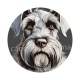 chien