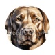 chien