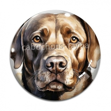Cabochon Verre - chien