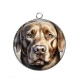 Pendentif Cabochon Argent - chien
