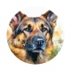 chien