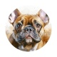 chien