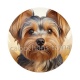 chien