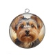 Pendentif Cabochon Argent - chien