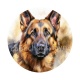 chien
