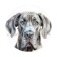 chien
