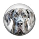Cabochon Résine - chien