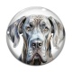 Cabochon Verre - chien