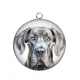 Pendentif Cabochon Argent - chien