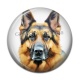 Cabochon Résine - chien