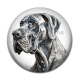 Cabochon Résine - chien