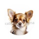chien