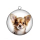 Pendentif Cabochon Argent - chien