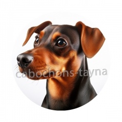 chien