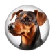Cabochon Résine - chien