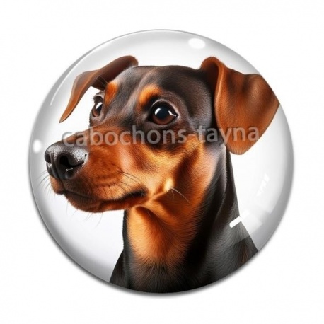 Cabochon Verre - chien